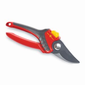 INDOOR BYPASS SECATEURS