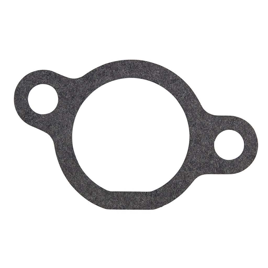 GASKET, CARBIE TO ENGINE BLOCK SUITS SSV450F1  ENG8380
