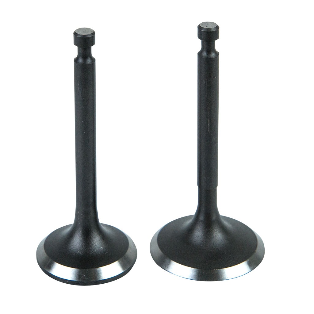 VALVE KIT
